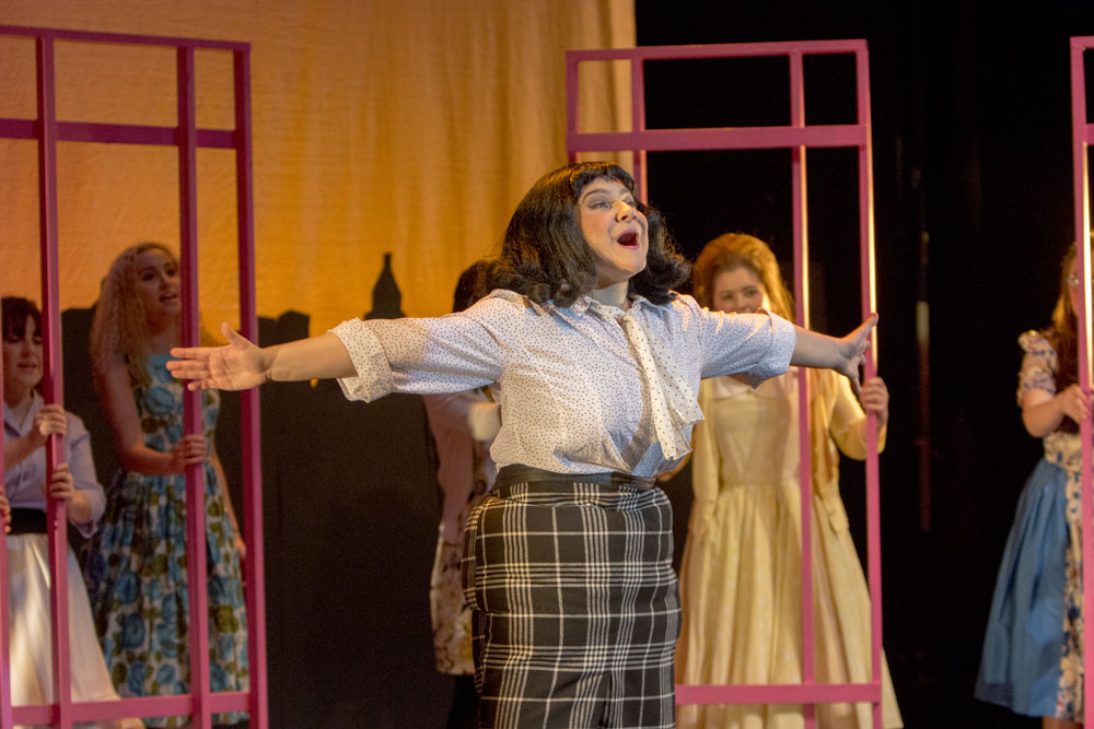 Hairspray, performed at the Artrix Theatre 24th-26th January 2017