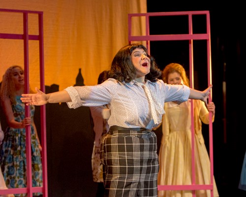 Hairspray Senior Production 2017