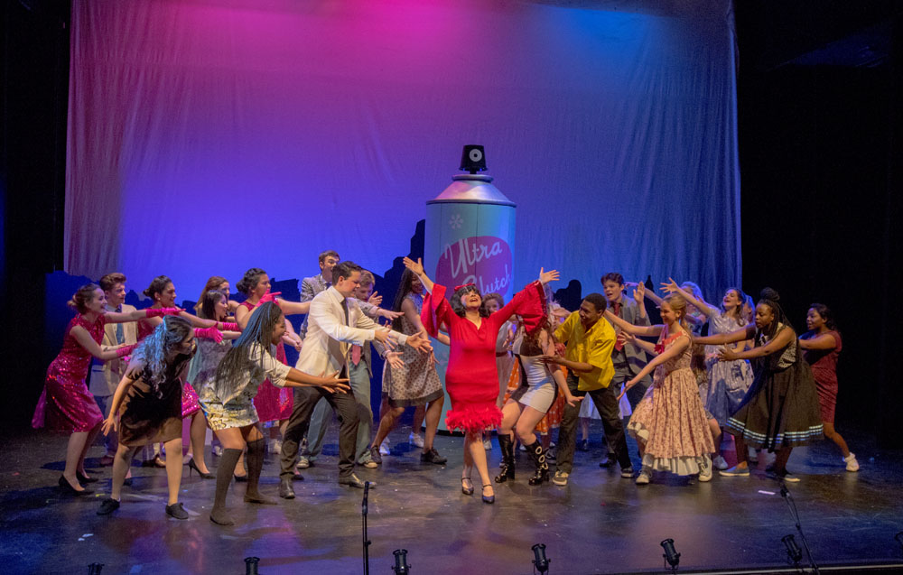 Hairspray, performed at the Artrix Theatre 24th-26th January 2017