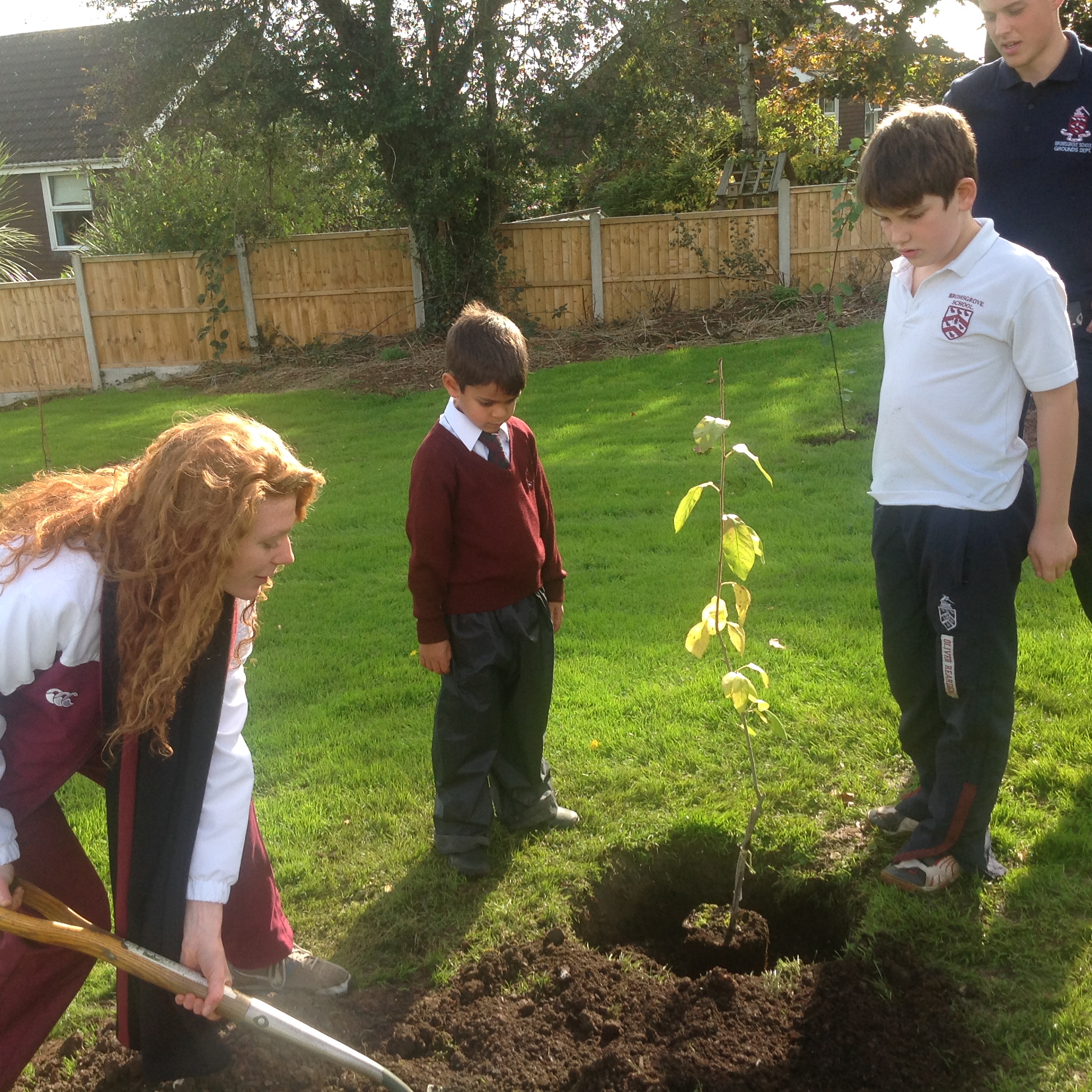 School Monitors help Prep and Pre-Prep pupils plant trees in the new Orchard at Bromsgrove Prep, 17th October 2016