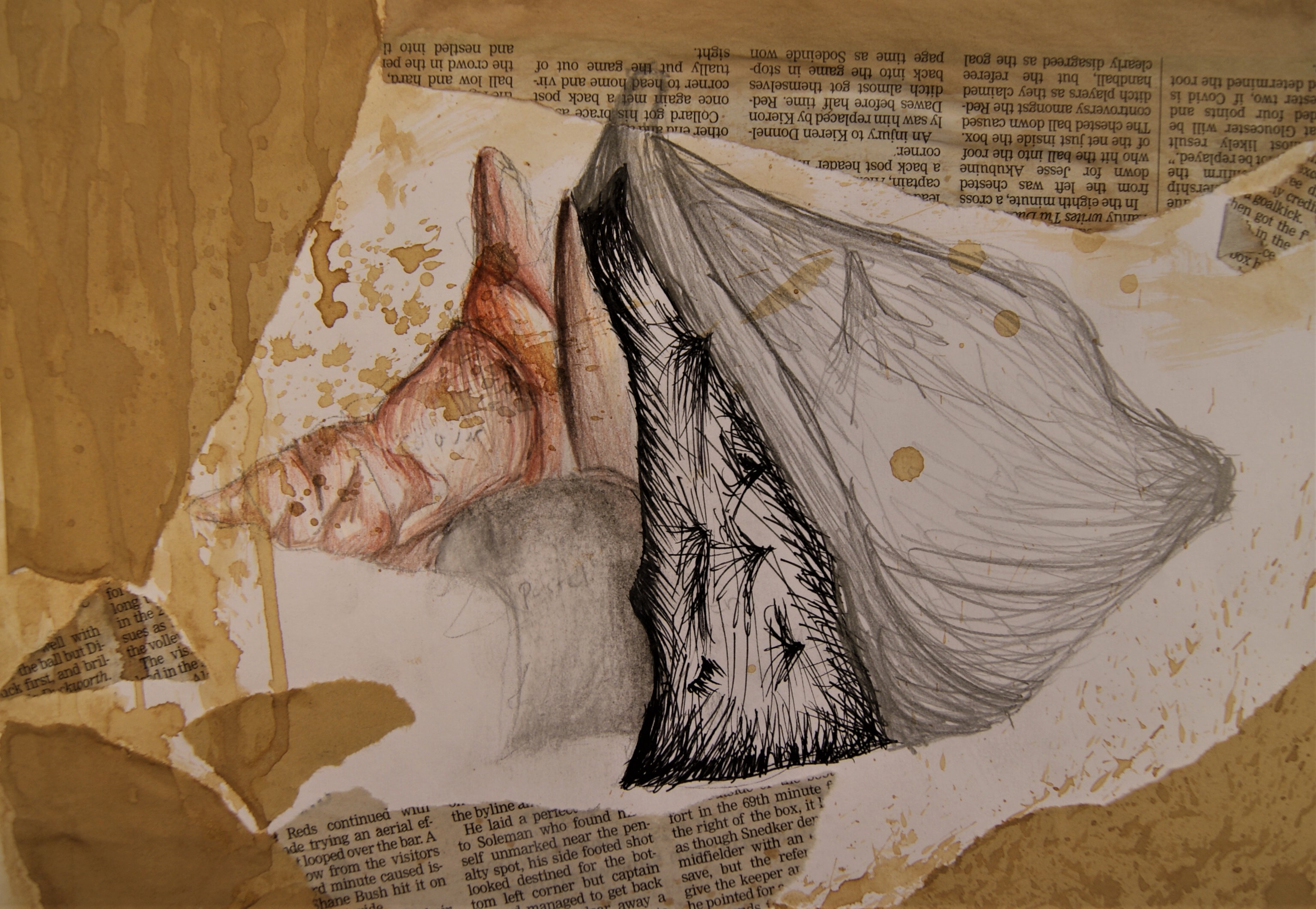 Seaside Still Life - Observational Drawing