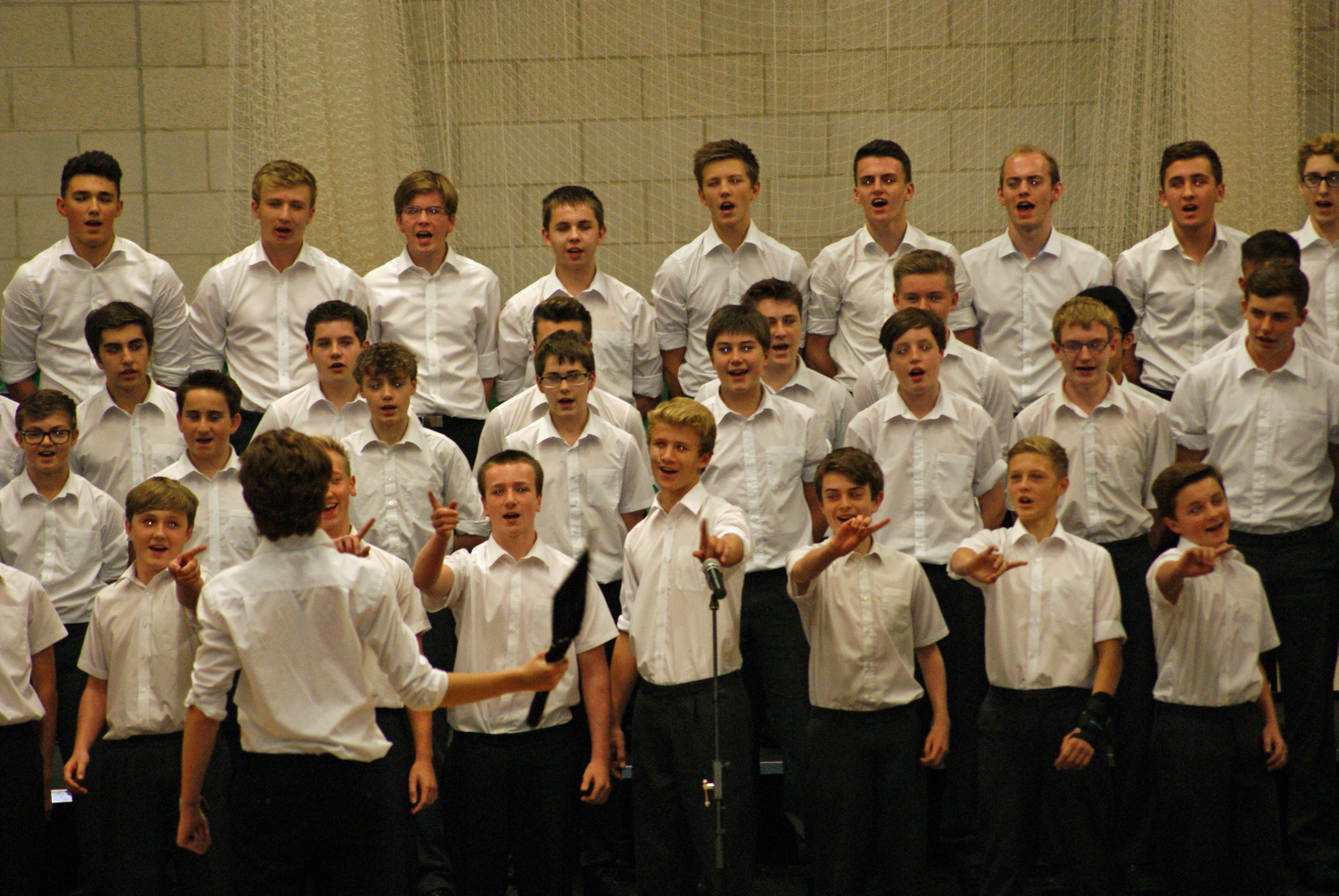 School - House Song 2014