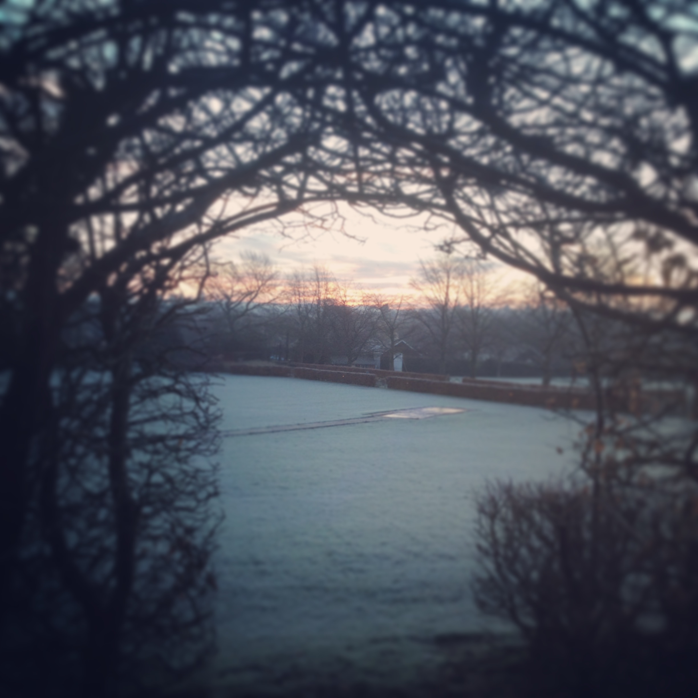 A frosty morning at Bromsgrove School