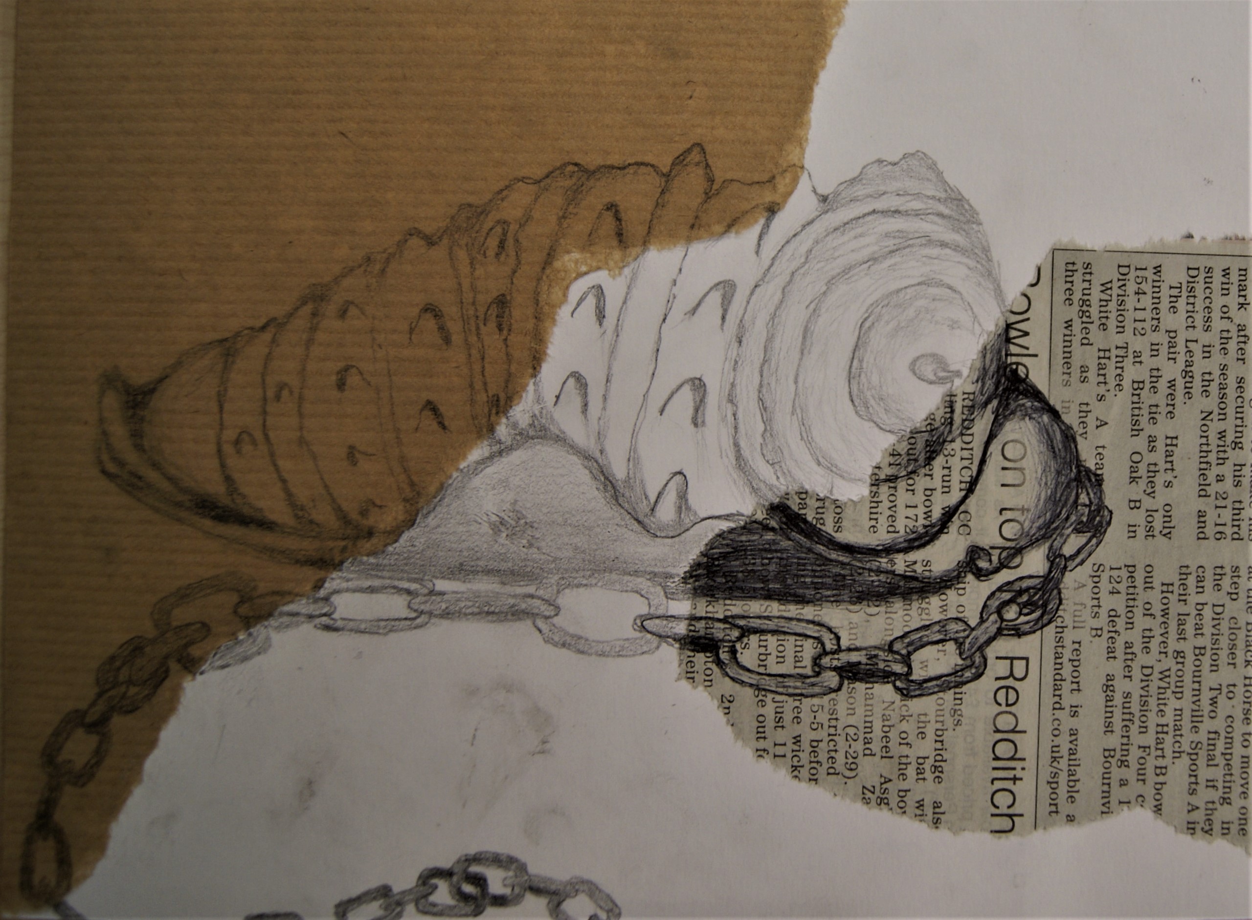 Seaside Still Life - Observational Drawing