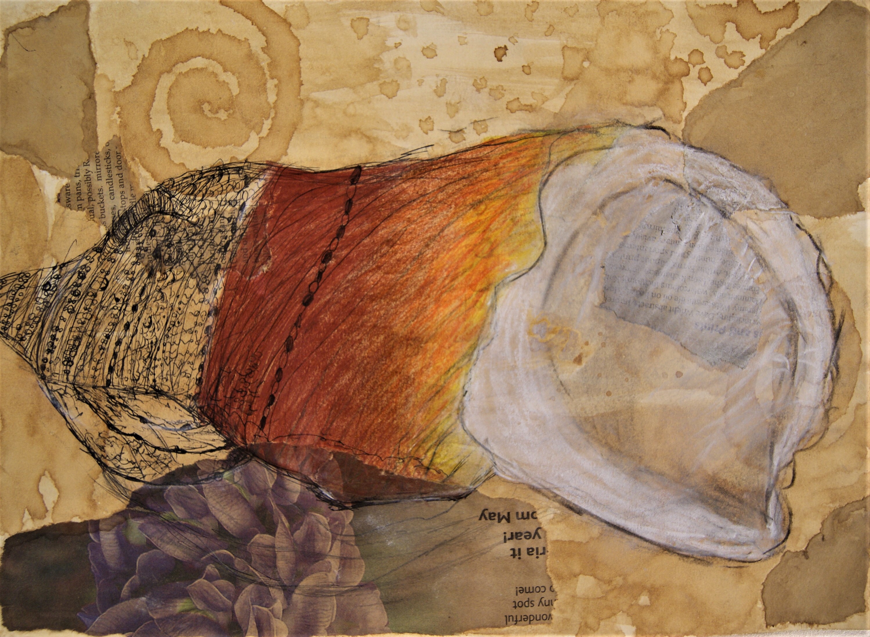 Seaside Still Life - Observational Drawing