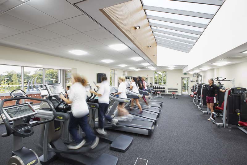 The Gym